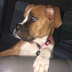 Meet your Posher, Makenzimakenzie